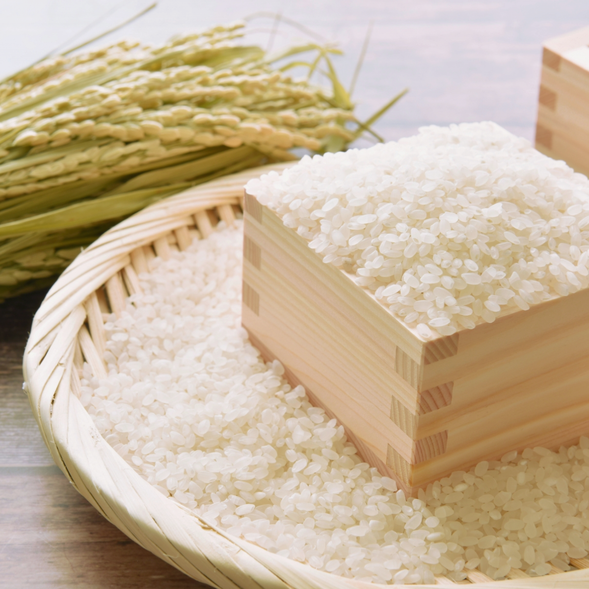 令和6年【精米】茨城県産コシヒカリ