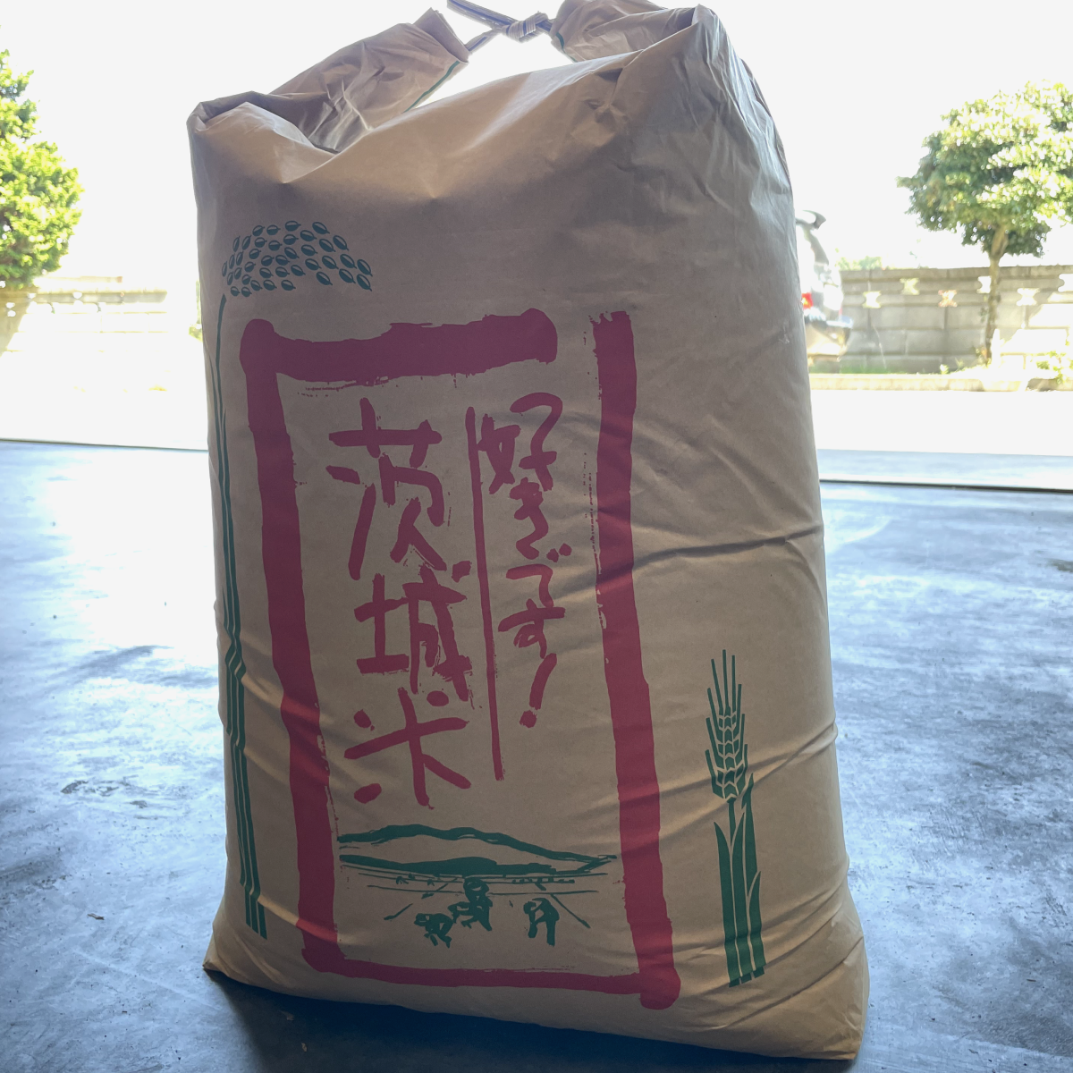 令和6年【玄米】茨城県産コシヒカリ