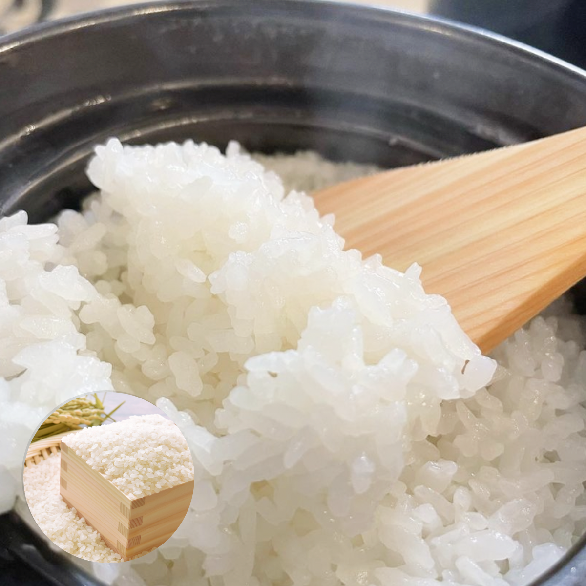 令和6年【精米】茨城県産コシヒカリ