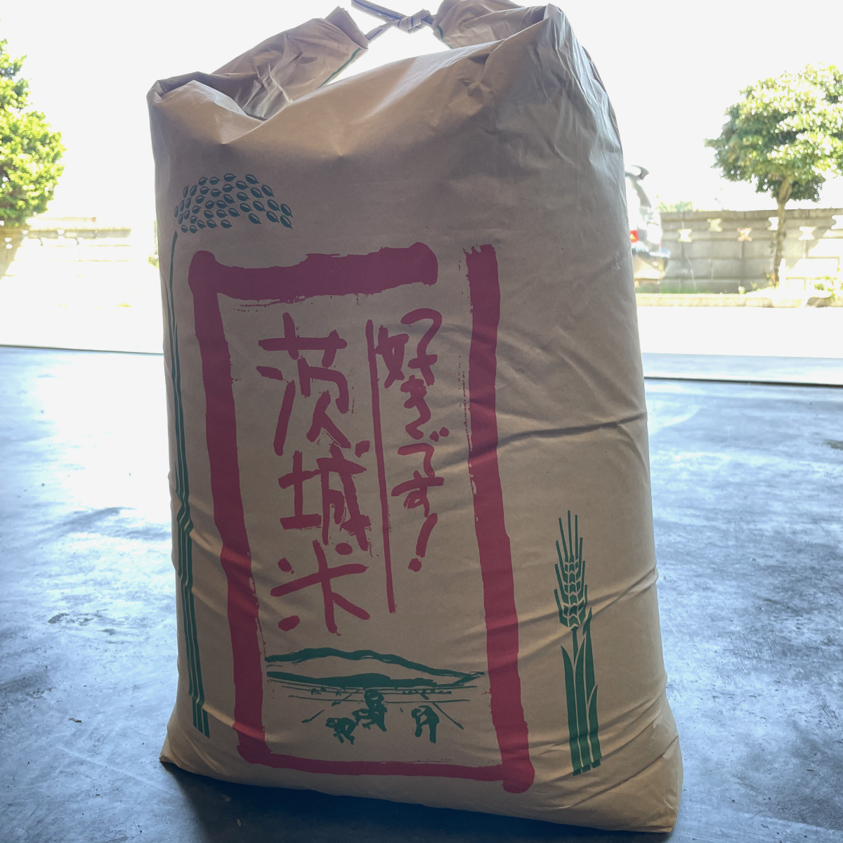 令和5年【玄米】茨城県産コシヒカリ